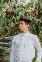 Load image into Gallery viewer, Desert Sun - EMBR