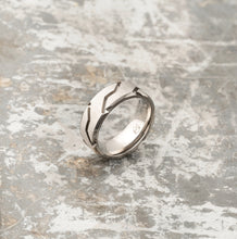 Load image into Gallery viewer, Titanium Ring - Silver Striker - EMBR
